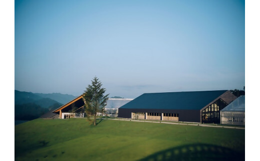 日本唯一の「バスクチーズタルト専門店」Egun onが届けるする　バスクチーズタルト オリジナル 3個　VT-83　 スイーツ お菓子 贈答品 贈答用 ギフト 三重県 多気町 エグノン　VT-83