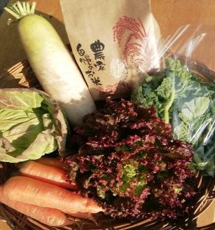 AF-02　旬の無農薬野菜と無農薬米のセット 《R5年産米》