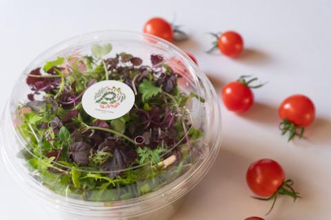 【農福連携】PF-06　食卓彩るしあわせサラダセット（3人前）