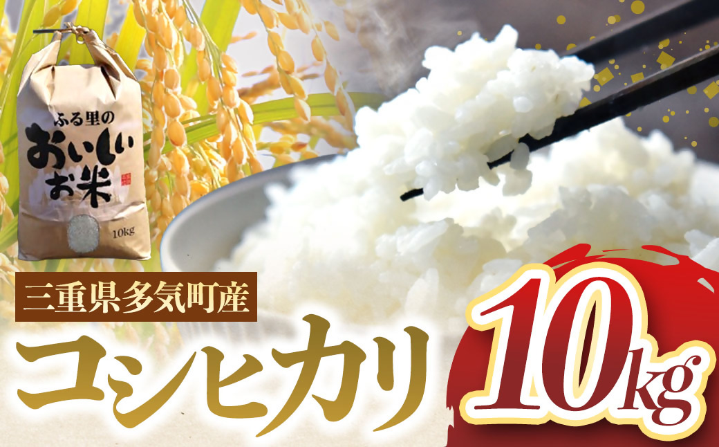 令和7年産 コシヒカリ 10kg こしひかり 米 精米 コメ FY-03-2025