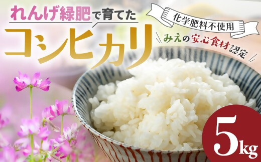 コシヒカリ 5㎏ れんげ緑肥で育てたみえの安心食材の認定 　化学肥料 不使用 みえ 安心食材認定 国産 コシヒカリ コシヒカリ コシヒカリ コシヒカリ GE-03