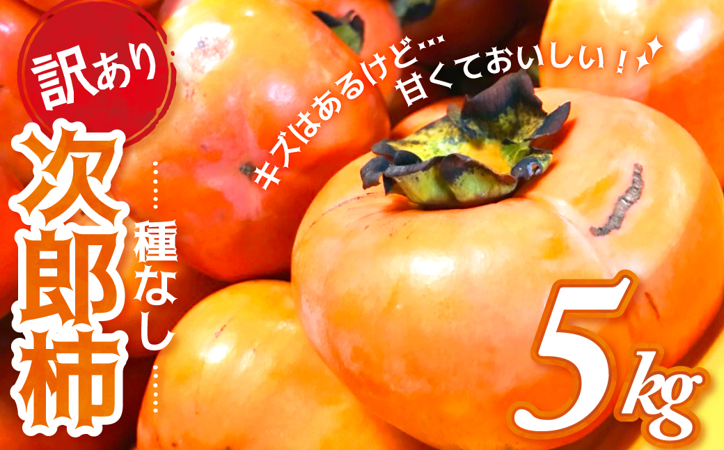 【令和8年産柿　先行予約】《 訳あり 》5㎏ 次郎柿 たねなし 柿 かき フルーツ 家庭用 訳あり 規格外 わけあり 不揃い ふぞろい   種なし 干し柿  三重県 多気町 GF-17