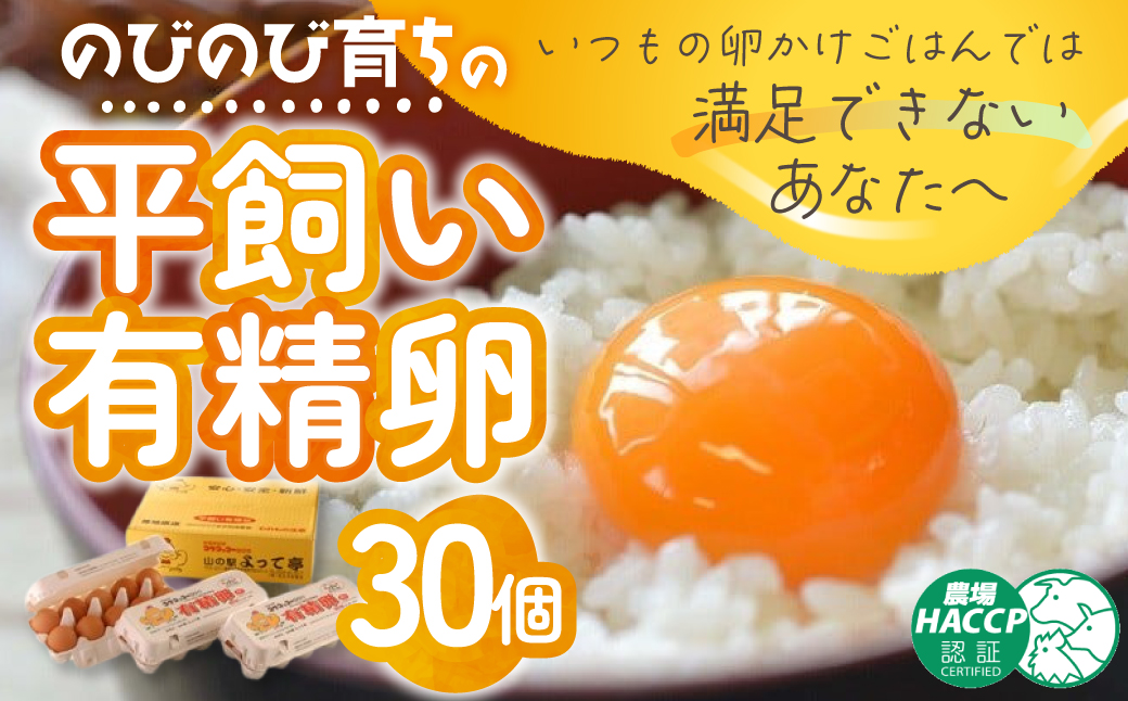 のびのび育ちの平飼い有精卵 30個 （10個入×3P） 平飼い 有精卵 たまご 卵 玉子 タマゴ 卵 鶏卵 オムレツ 卵 卵かけご飯 たまご焼き 国産 すき焼き 卵 三重県 多気町 JK-03