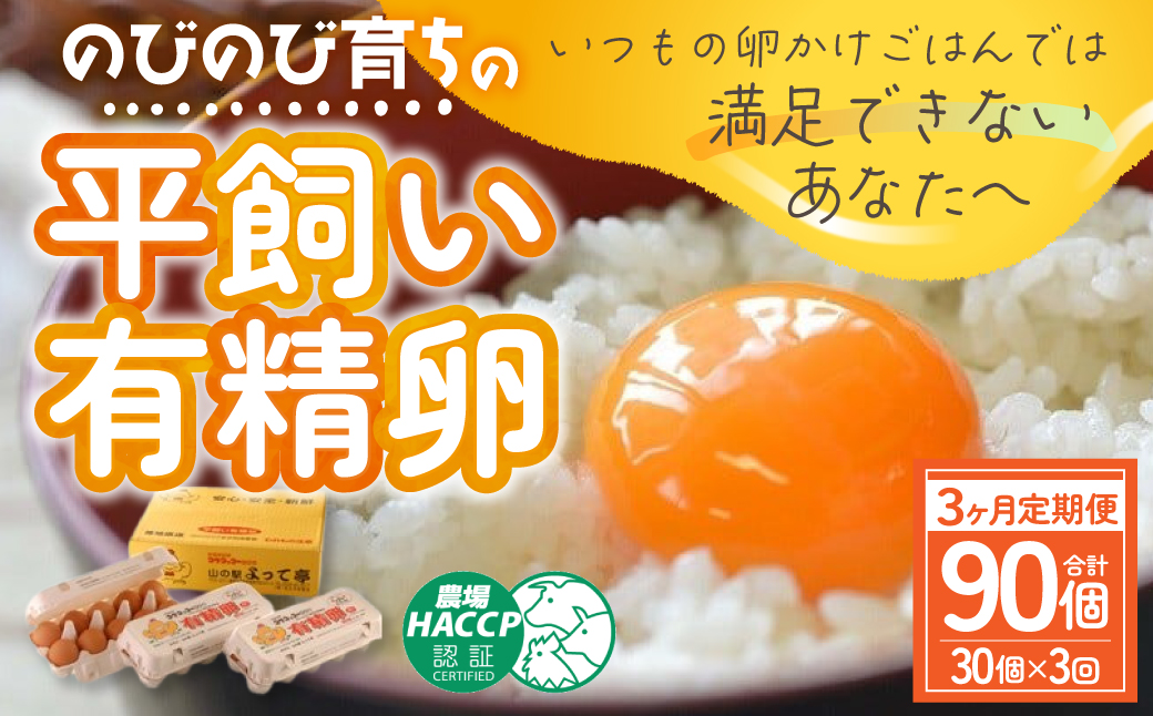 【3ヶ月定期便】計90個 のびのび育ちの平飼い有精卵 30個×3ヶ月 定期 定期便 卵 平飼い 有精卵 たまご 卵 玉子 卵 タマゴ 鶏卵 オムレツ 卵 卵かけご飯 たまご焼き 国産 すき焼き 三重県 多気町 JK-04