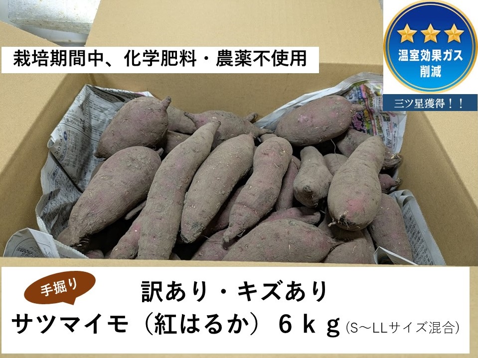 ≪訳あり≫ 栽培期間中、化学肥料・農薬不使用　温室効果ガス削減に貢献しながら、のどかな畑で大切に育てた　キズあり　サツマイモ（紅はるか）６ｋｇ　S～LLサイズ混合  MF-01