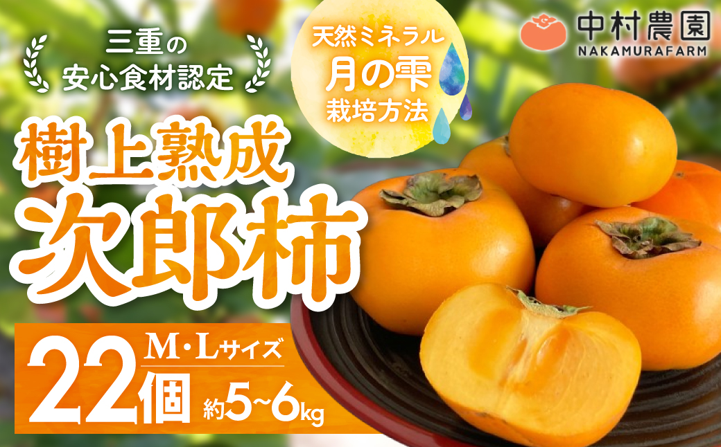 三重の安心食材認定！ 【2025年発送】三重の安心食材認定！中村農園の次郎柿 M・Lサイズ　22個 (約5～6㎏)　先行予約 先行 予約 柿 カキ かき 減農薬 安心 贈答 果物 くだもの フルーツ 三重県 多気町 NN-03