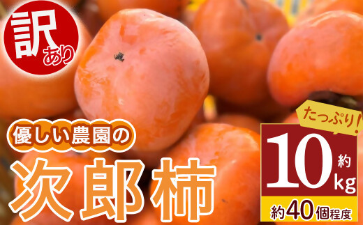 【令和8年産柿/先行予約】優しい農園の訳あり次郎柿 10kg 次郎柿 たねなし 柿 かき フルーツ 家庭用 訳あり 規格外 わけあり 不揃い ふぞろい 種なし 干し柿 先行 先行予約 三重県 多気町 YSN-01-26