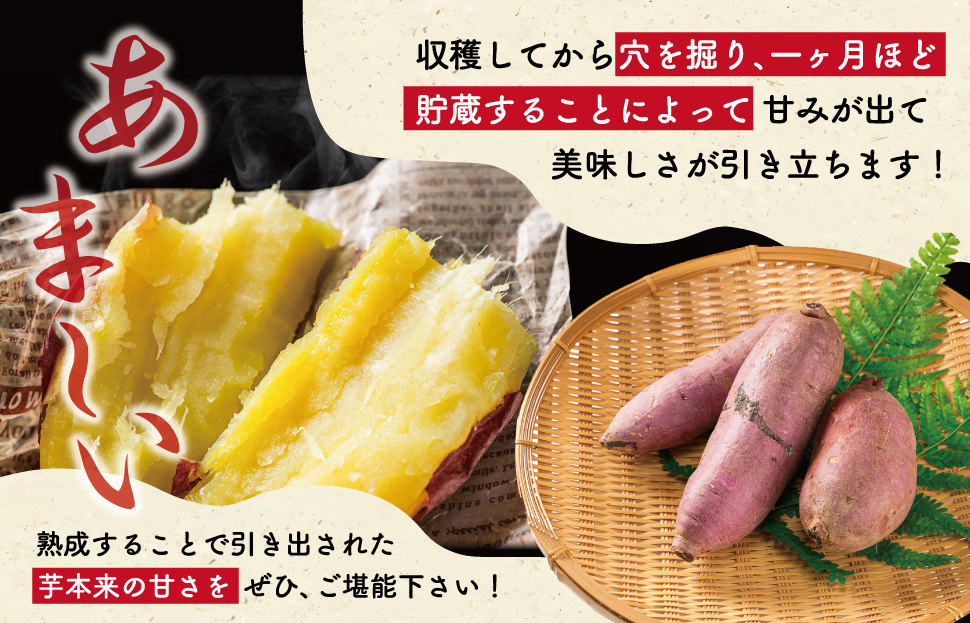 北山さんちのさつまいも 紅はるか 2kg さつまいも サツマイモ 薩摩芋 いも 芋 ほくほく 産地直送 新鮮 野菜 季節の野菜 旬 直送