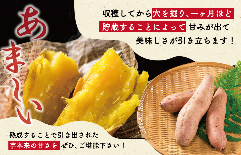 北山さんちのさつまいも 安納芋 2kg さつまいも サツマイモ 薩摩芋 いも 芋 ほくほく 産地直送 新鮮 野菜 季節の野菜 旬 直送