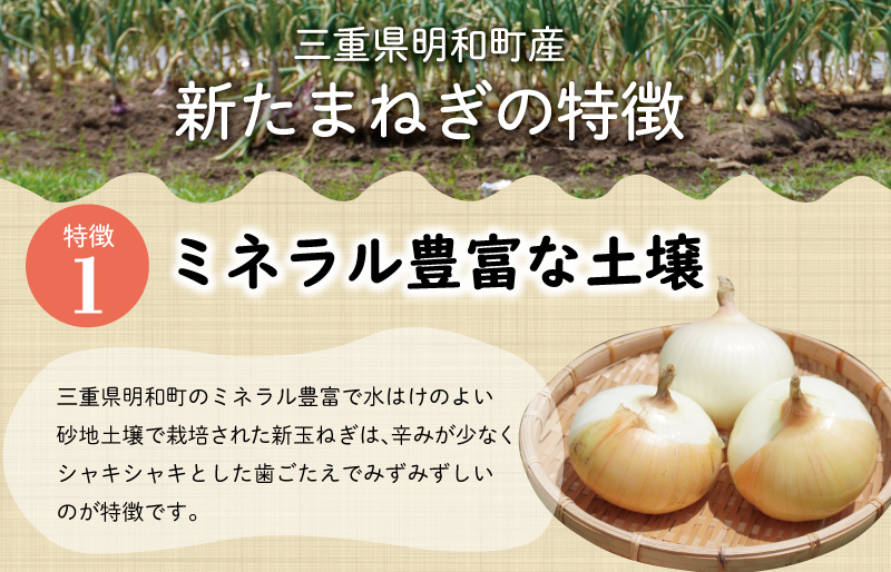 北山さんちの新たまねぎ 6kg 産地直送 新鮮 野菜 季節の野菜 旬 直送 玉ねぎ タマネギ 新玉ねぎ 国産 生がおいしい フレッシュ オニオン サラダ 玉ねぎステーキ オニオンスープ 甘み ジューシー お取り寄せ kn1
