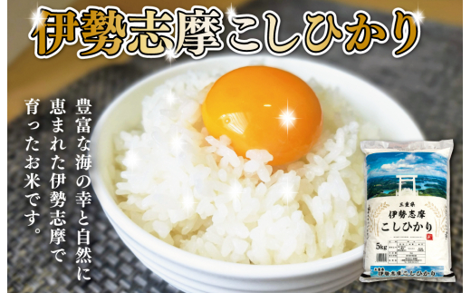 【2026年4月前半発送】 令和7年 三重県産 伊勢志摩 コシヒカリ 5kg　米 白米 精米 国産 送料無料 えらべる 発送時期 ふるさと納税 ふるさと コメ こめ おこめ 先行予約米 お米 新米 ブランド米 ふるさと納税 ふるさと 人気 D-52