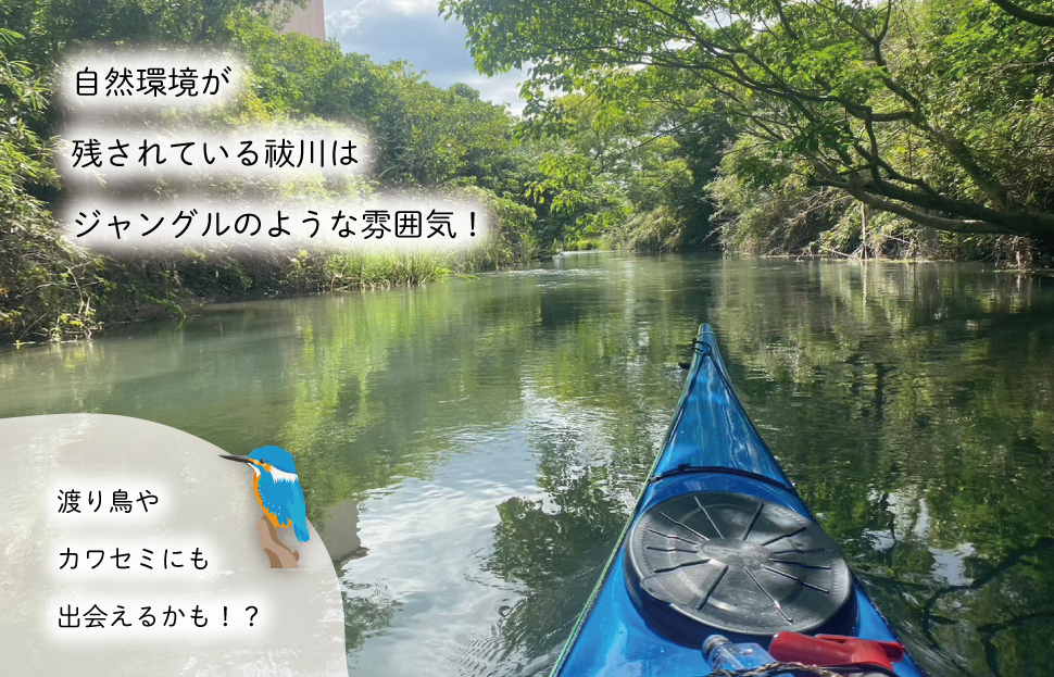 明和町・祓川 ジャングル クルーズ 【カヤック 体験 2時間】 3名様　カヌー ツアー アウトドア レジャー キャンプ スポーツ 観光 旅行 家族 ファミリー アクティビティ 自然 川