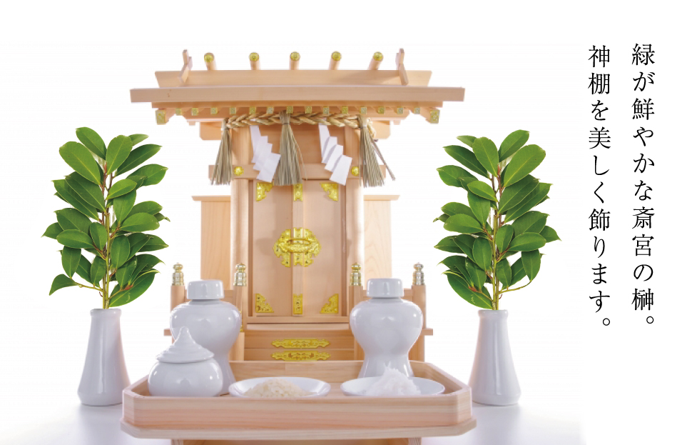 神棚用 榊  1対（2束）約25cm 神棚 さかき お供え 生花 本榊 サカキ 仏花 神具 国産 斎宮の榊