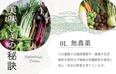 宮殿の厨房野菜 おまかせ定期便 （3回） 六月農園 野菜 セット 産地直送 おまかせ 季節の野菜 旬 詰め合わせ 人気 限定 有機栽培 オーガニック 明和町 国産 リピート 定期便
