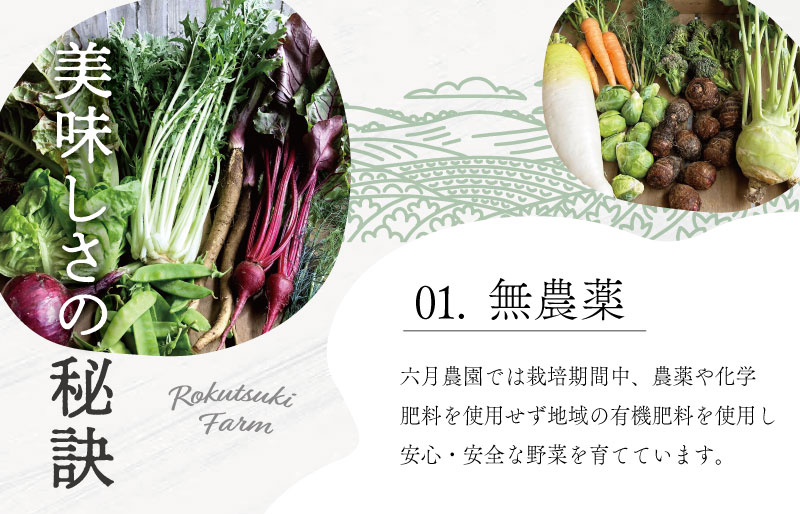 宮殿の厨房野菜 六月農園 おまかせセット 野菜 セット 産地直送 おまかせ 季節の野菜 旬 詰め合わせ 人気 限定 有機栽培 オーガニック 明和町 国産 リピート N5