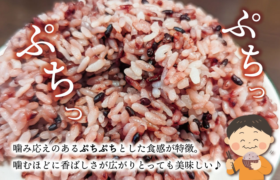 訳あり 伊勢 斎宮 古代米 黒米 100g×3袋 合計300g 数量限定 小分け セット 玄米 ご飯 もち米 国産 アントシアニン 栄養 健康 美容 栄養 おにぎり カレー