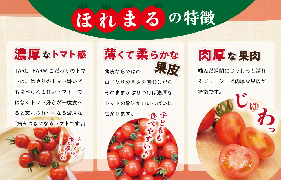 明和町産 完熟 トマト ほれまる 3kg ミニトマト 朝採り 新鮮 生鮮 野菜 あっさり