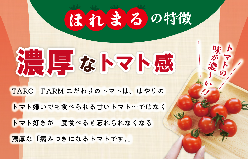 明和町産 完熟 トマト ほれまる 1kg ミニトマト 朝採り 新鮮 生鮮 野菜 あっさり