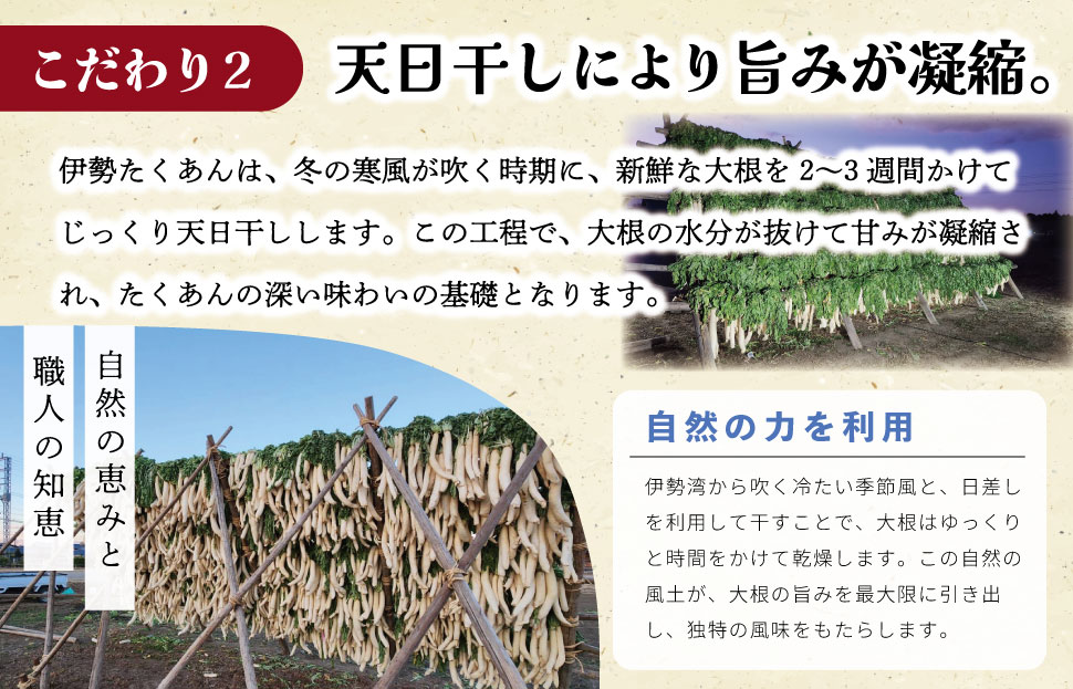 伊勢たくあん 2袋 干し大根 低温熟成 謹製 漬物 沢庵 旨み 甘み おにぎり 和物 お新香 ご飯のお供 お茶うけ たくわん 土産 明和町産大根 三重県産 お取り寄せ 送料無料 JA2