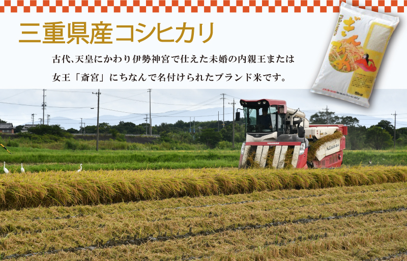 三重県産 コシヒカリ ぎんひめ 精米 5kg ふるさと納税 ふるさと 米 コメ こめ おこめ ギフト プレゼント 贈答 贈り物 御祝い お祝い返礼品 人気 お取り寄せ 三重米 お米 新米 白米 ブランド米 ふるさと納税