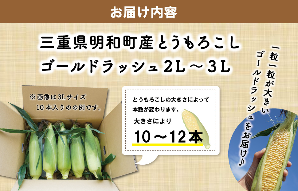 明和町産 朝採れ とうもろこし ゴールドラッシュ 10本～12本 BBQ 人気 トウモロコシ 生 野菜 新鮮 採れたて 産地直送 朝どれ 甘い 期間限定 国産 旬 夏野菜 きたむら