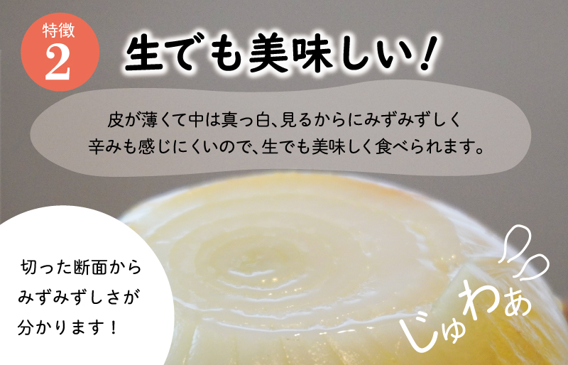 北山さんちの新たまねぎ 6kg 産地直送 新鮮 野菜 季節の野菜 旬 直送 玉ねぎ タマネギ 新玉ねぎ 国産 生がおいしい フレッシュ オニオン サラダ 玉ねぎステーキ オニオンスープ 甘み ジューシー お取り寄せ kn1