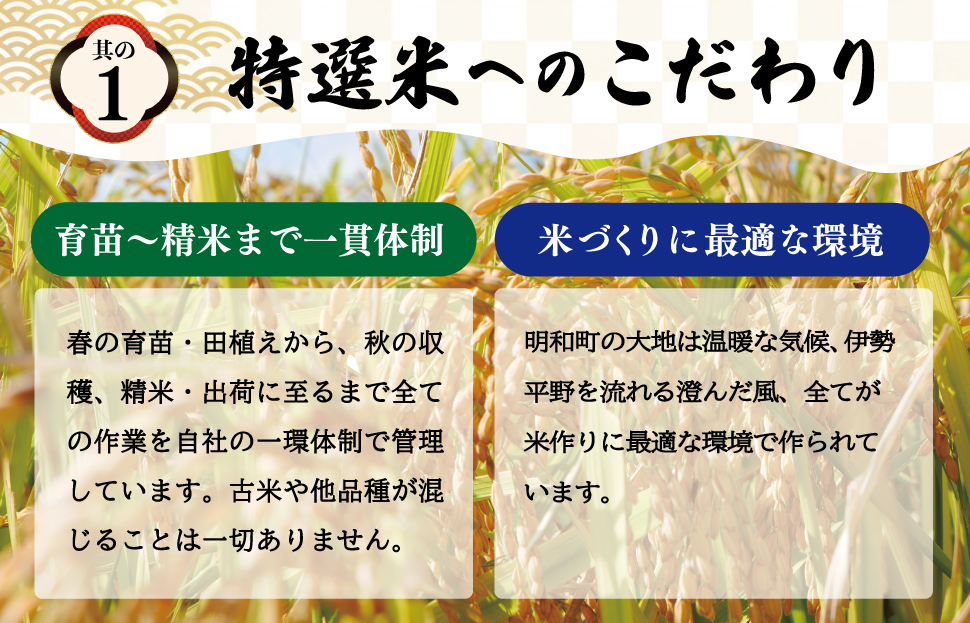 (有)松幸農産 特選米 15kg セット コシヒカリ お米 おこめ 三重県産 送料無料 5kg×3袋 小分け 冷めてもおいしい ふるさと納税 ふるさと 米 コメ こめ ギフト プレゼント 人気 お取り寄せ 三重米 新米 白米 精米 MK6