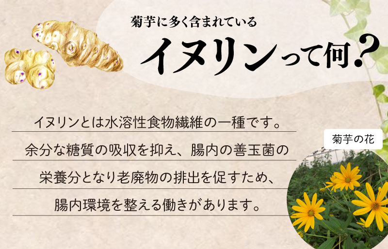 菊芋 チップス 2袋セット お試し イヌリン 国産 糖質 有機 血糖値 体型 血圧 いも 菊芋茶 きくいも キクイモ SDGs エコ サスティナブル 健康 話題 農薬不使用 健康 食物繊維 野菜 おやつ おつまみ 三重県産