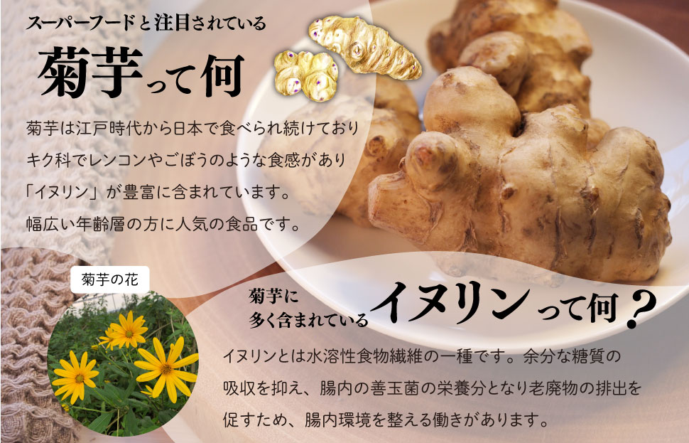 菊芋 チップス 6袋セット イヌリン 国産 糖質 有機 血糖値 体型 血圧 いも 菊芋茶 きくいも キクイモ SDGs エコ サスティナブル 健康 話題 農薬不使用 健康 食物繊維 野菜 おやつ おつまみ 三重県産