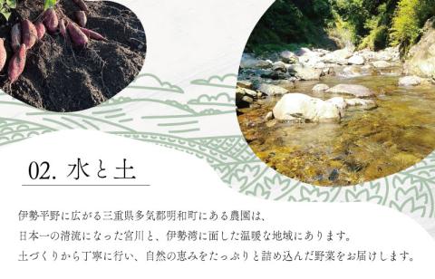 宮殿の厨房野菜 おまかせ定期便 （3回） 六月農園 野菜 セット 産地直送 おまかせ 季節の野菜 旬 詰め合わせ 人気 限定 有機栽培 オーガニック 明和町 国産 リピート 定期便