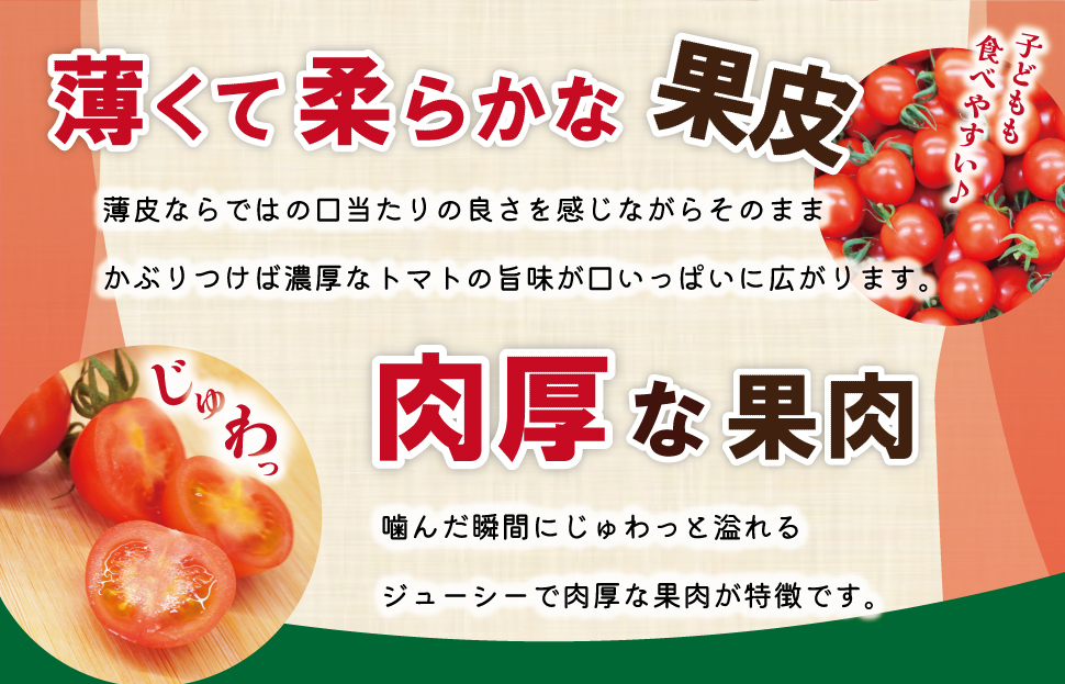 明和町産 完熟 トマト ほれまる 1kg ミニトマト 朝採り 新鮮 生鮮 野菜 あっさり