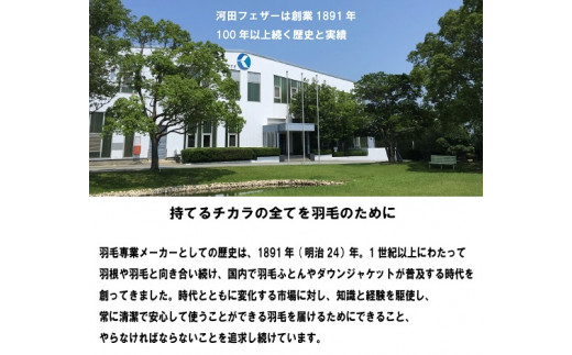【河田フェザー】 国産 羽根クッション 低反発 高反発 座布団 クッション 羽根 ホワイト 日本製 大きい おおきめ カバー セット おしゃれ kawada 河田フェザー 正規品 癒し やすらぎ 高級 C-45