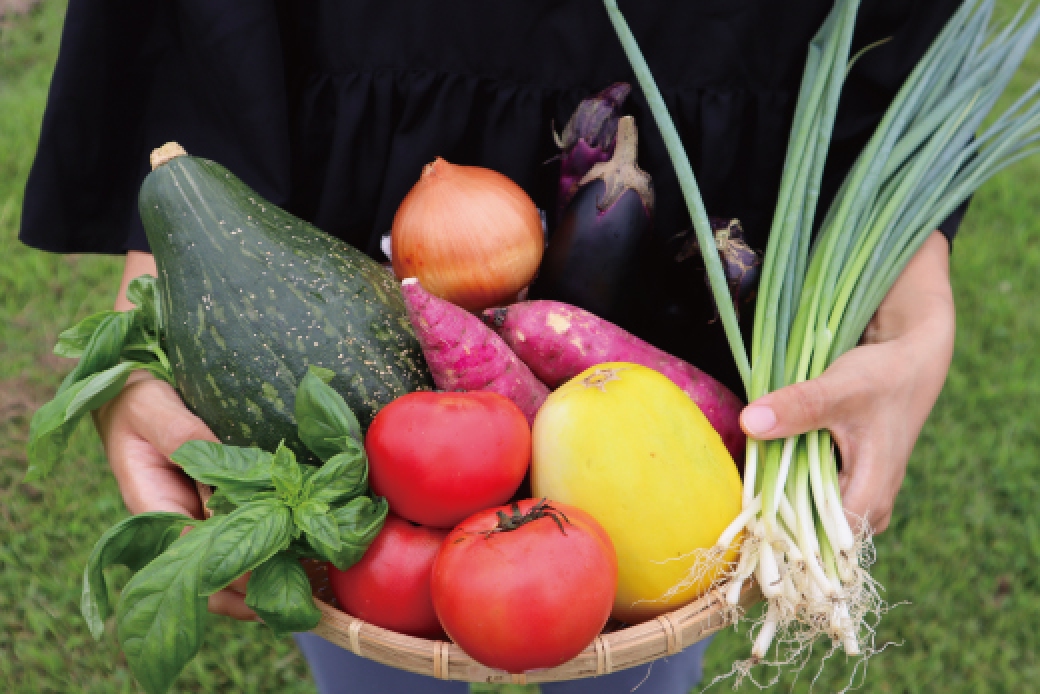 旬の野菜 詰め合わせ 6～7品以上 連続3か月 【 定期便 】 おまかせ セット 産地直送 新鮮 野菜 季節の野菜 旬 直売所 直送 連続 新鮮 ja1