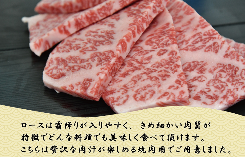  多気郡産 松阪牛 ロース 焼肉用 500g 肉 牛 牛肉 和牛 ブランド牛 高級 国産 霜降り 冷凍 ふるさと 人気 焼肉 BBQ バーベキュー L6