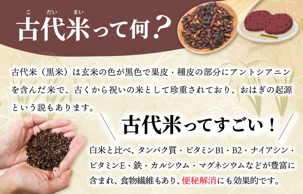 伊勢 斎宮 古代米 黒米 100g×1袋 合計100g 数量限定 小分け セット 玄米 ご飯 もち米 国産 アントシアニン 栄養 健康 美容 栄養 おにぎり カレー M1911