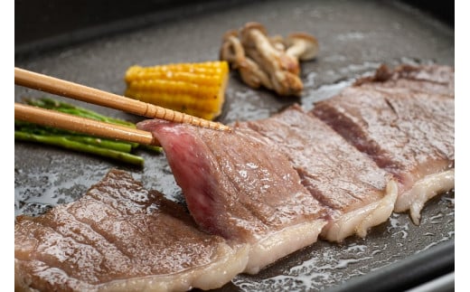 【定期便全6回】 松阪牛 特選 サーロイン ステーキ 約200g×3枚 （600g） 【受付時期・発送時期限定】 SS47