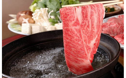 【定期便全6回】 松阪牛 しゃぶしゃぶ （特選ロース） 500g 【受付時期・発送時期限定】 SS51