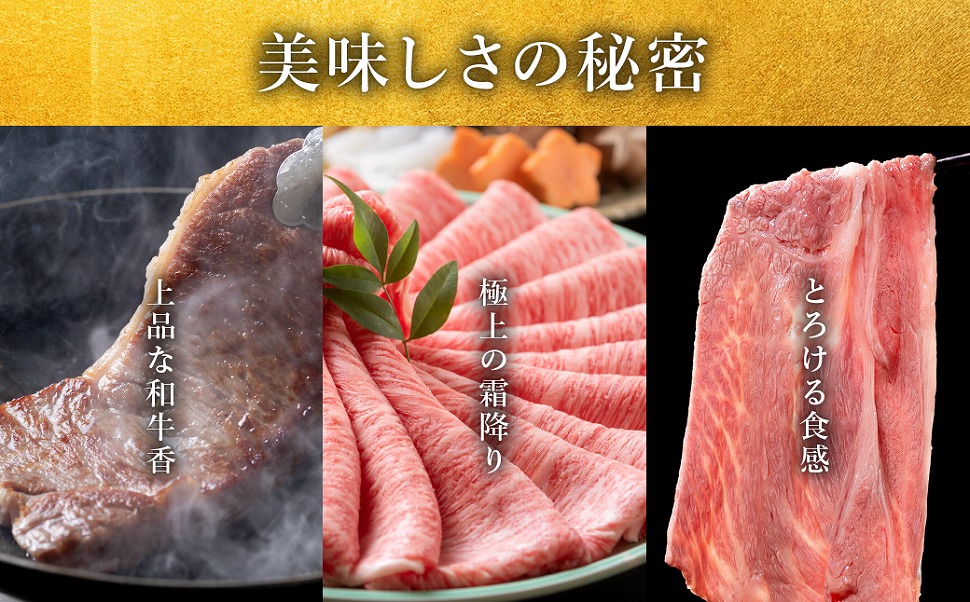極上 松阪牛 堪能 コース 定期便 5か月 牛追道中 肉 牛 牛肉 和牛 ブランド牛 高級 国産 霜降り 冷凍 ヒレ シャトーブリアン 赤身 リブロース サーロイン すき焼き しゃぶしゃぶ US32