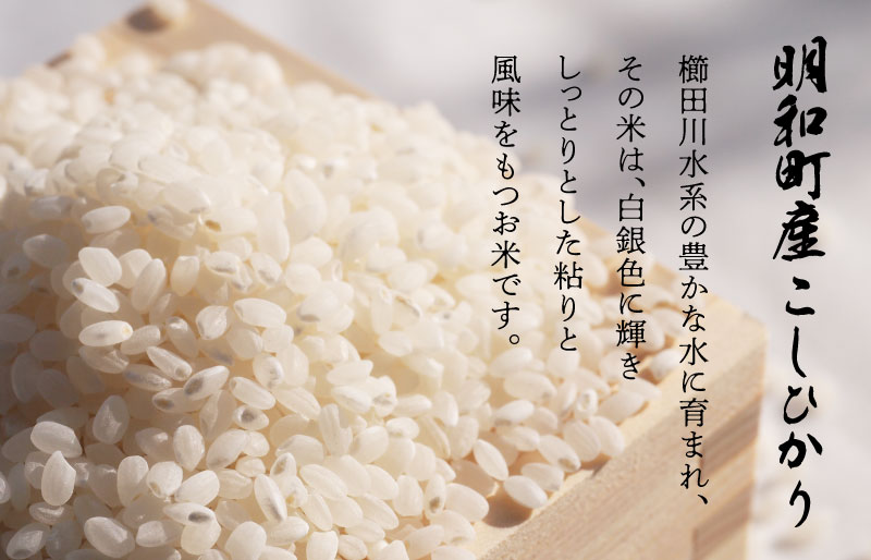 農家直送 ！ 明和町産 こしひかり ３kg　ふるさと納税 ふるさと 米 コメ こめ おこめ ギフト プレゼント 贈答 贈り物 御祝い お祝い返礼品 人気 お取り寄せ 三重米 お米 新米 白米 精米 ブランド米 国産 着日指定 もちもち 保管