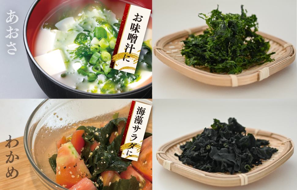 海藻 乾物 セット A とろろ ひじき わかめ あおさ アオサ アオサ海苔 乾燥 味噌汁 みそ汁 かき揚げ 煮物 酢の物 とろろ サラダ うどん わかめごはん 保存 保管 国産 伊勢志摩産 無添加 詰め合わせ mh3
