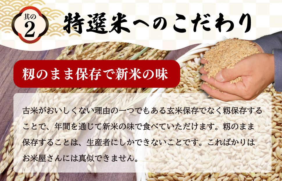 (有)松幸農産 特選米 10kg セット コシヒカリ お米 おこめ 三重県産 送料無料 5kg×2袋 小分け 冷めてもおいしい ふるさと納税 ふるさと 米 コメ こめ ギフト プレゼント 人気 お取り寄せ 三重米 新米 白米 精米 MK5