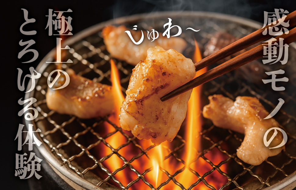 松阪牛 ホルモン ・ 松阪牛 焼肉 セット 900g 肉 牛 牛肉 和牛 ブランド牛 高級 国産 霜降り 冷凍 ふるさと 人気 焼肉用 BBQ バーベキュー モモ モモ肉 バラ バラ肉 K3