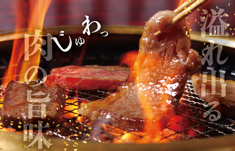 松阪牛 お家で焼肉 セット 肉 牛 牛肉 和牛 ブランド牛 高級 国産 霜降り 冷凍 ふるさと 人気 焼肉　焼肉用 BBQ バーベキュー お家焼肉 カルビ ホルモン タン 牛タン バラ バラ肉 味噌 タレ 味付 J36