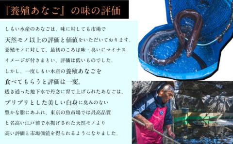 あなごの開き 穴子 あなご アナゴ 生 冷蔵 養殖 すし 寿司 刺身 白焼き 天ぷら 煮物 かば焼き 限定 旨味 ふわふわ I7