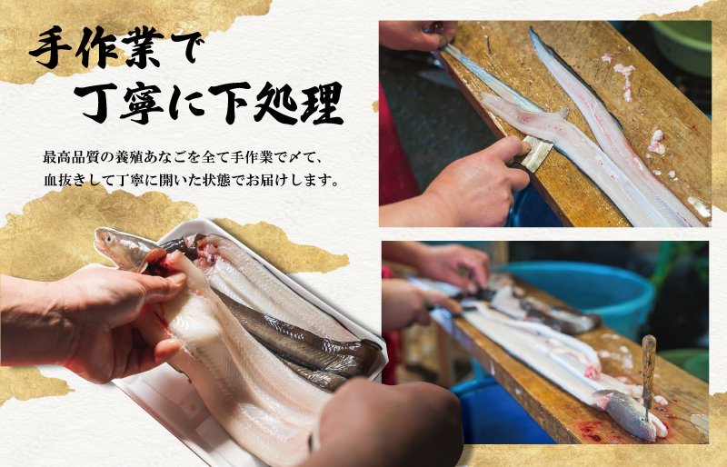 漁師町の郷土料理 穴子寿司 3個入り 穴子 あなご アナゴ 生 冷蔵 養殖 すし 寿司 限定 お祝い グランプリ 金賞 ３人前 押し寿司 旨味 ふわふわ I57