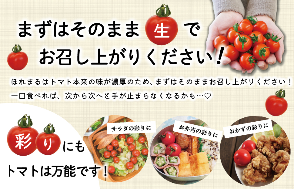明和町産 完熟 トマト ほれまる 1kg ミニトマト 朝採り 新鮮 生鮮 野菜 あっさり