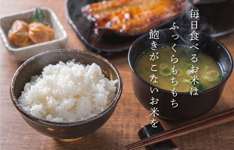 三重県産 山本農産のお米（コシヒカリ） 10kg