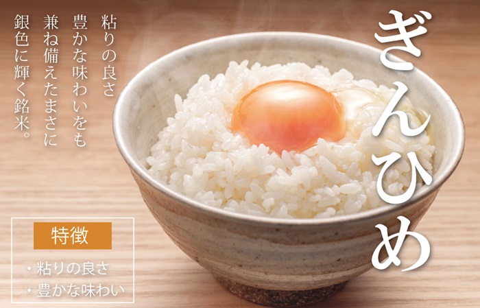 三重県産 コシヒカリ ぎんひめ 精米 5kg×2袋（合計 10kg） ふるさと納税 ふるさと 米 コメ こめ おこめ ギフト プレゼント 贈答 贈り物 御祝い お祝い返礼品 人気 お取り寄せ 三重米 お米 新米 白米 精米 ブランド米 国産 JA