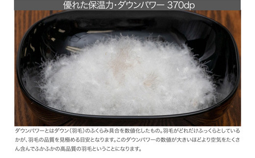 【河田フェザー使用】 羽毛 掛けふとん ECO ホワイト シングルロング 150×210 ECOダウン フェザー 高級 ふとん 布団 フトン 寝心地 品質 高級 ホテル 掛け 布団 日本製 河田フェザー 羽毛布団 睡眠 シングル エコ 清潔 B1