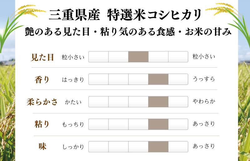 (有)松幸農産 特選米 20kg セット コシヒカリ お米 おこめ 三重県産 送料無料 5kg×4袋 小分け 冷めてもおいしい ふるさと納税 ふるさと 米 コメ こめ ギフト プレゼント 人気 お取り寄せ 三重米 新米 白米 精米 MK7